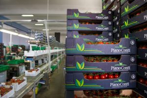 Piano Conti - Azienda agricola a Scicli