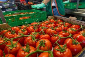 Piano Conti - Azienda agricola a Scicli